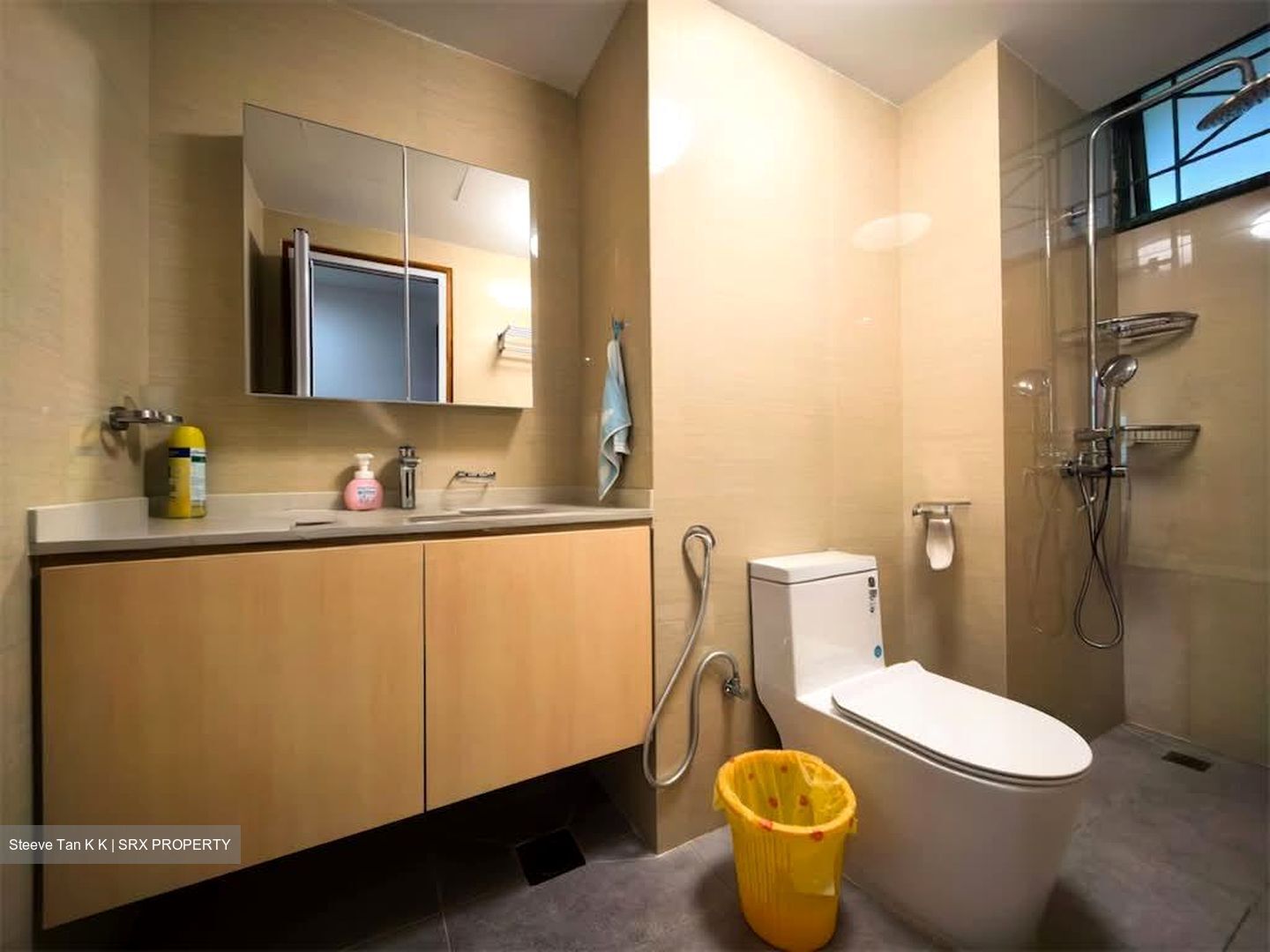 Signature Park (D21), Condominium #551920241